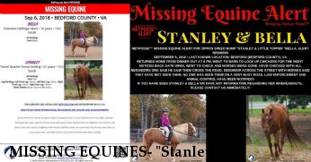 MISSING EQUINES- "Stanley" &  "Bella" HOME&SAFE 9/15/18 Near Bedford, VA, 24523